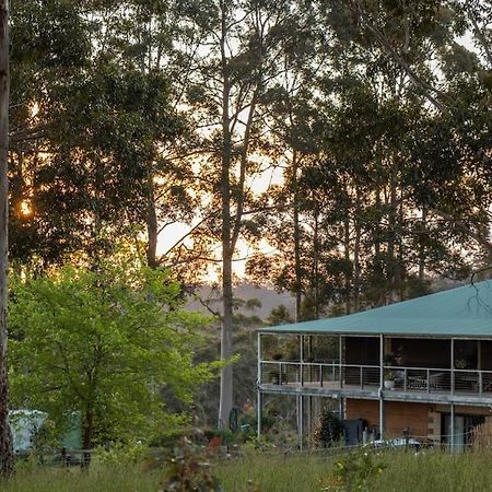 Blue Moon Forest Lodge Yanmah Exterior photo