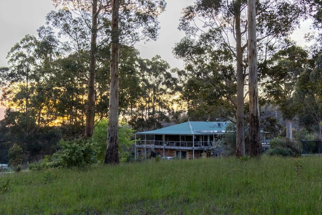 Blue Moon Forest Lodge Yanmah Exterior photo