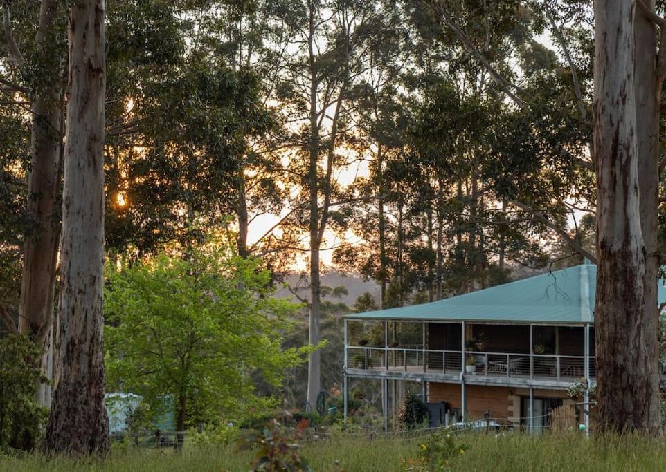 Blue Moon Forest Lodge Yanmah Exterior photo